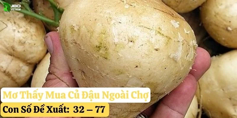 mơ thấy củ đậu jbo