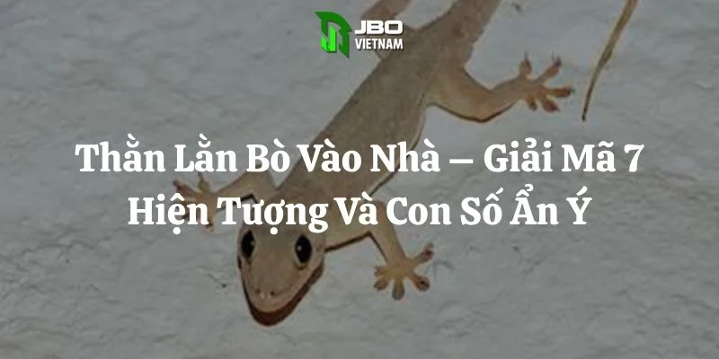 Thằn Lằn Bò Vào Nhà – Giải Mã 7 Hiện Tượng Và Con Số Ẩn Ý