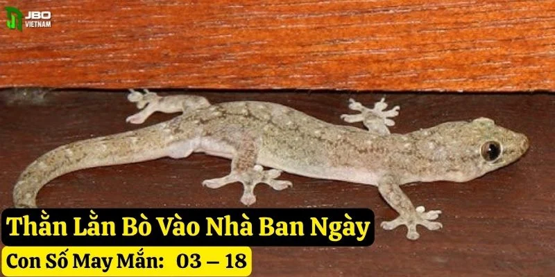 hiện tượng thằn lằn bò vào nhà