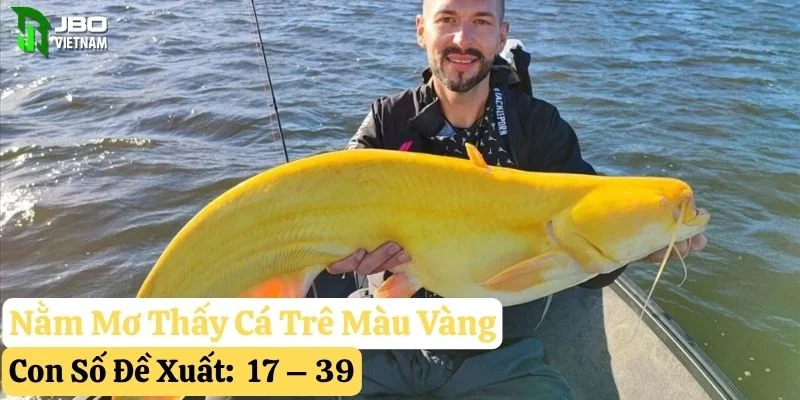 nằm mơ thấy cá trê jbo