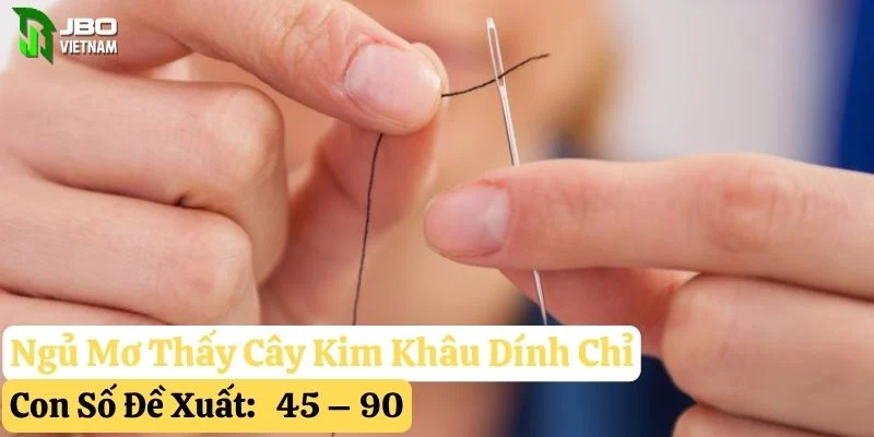 ngủ mơ thấy cây kim jbo