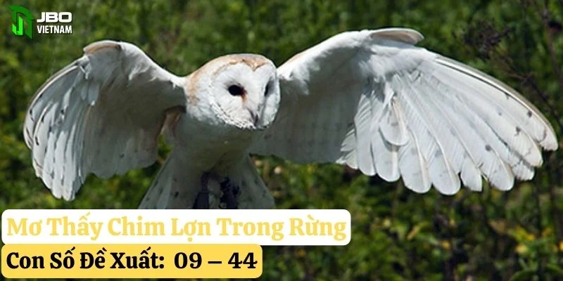 mơ thấy chim lợn jbo