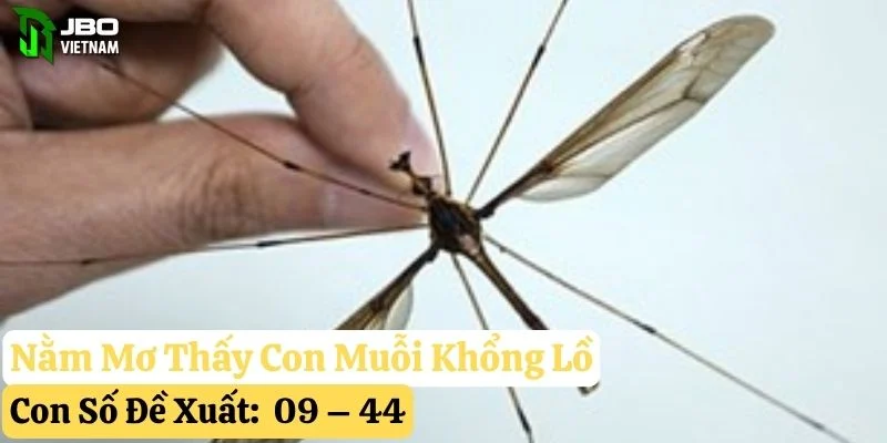 nằm mơ thấy con muỗi