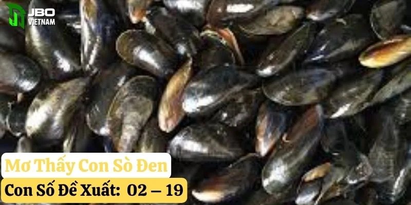 mơ thấy con sò jbo