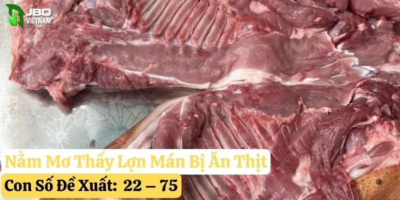 nằm mơ thấy lợn mán jbo