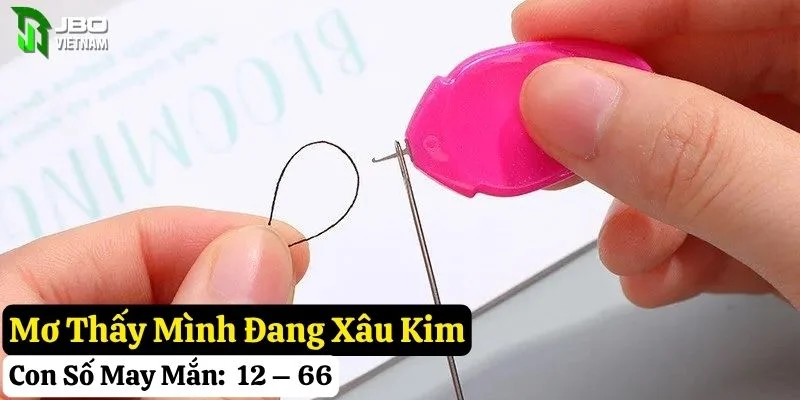 ngủ mơ thấy cây kim