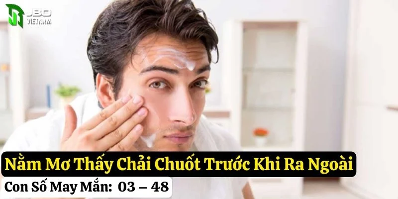 nằm mơ thấy chải chuốt