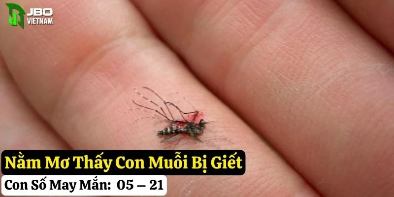 mơ thấy con muỗi