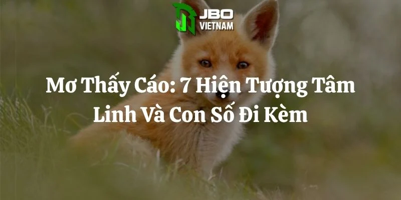 Mơ Thấy Cáo: 7 Hiện Tượng Tâm Linh Và Con Số Đi Kèm