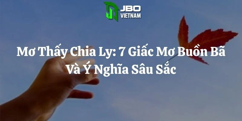 Mơ Thấy Chia Ly: 7 Giấc Mơ Buồn Bã Và Ý Nghĩa Sâu Sắc
