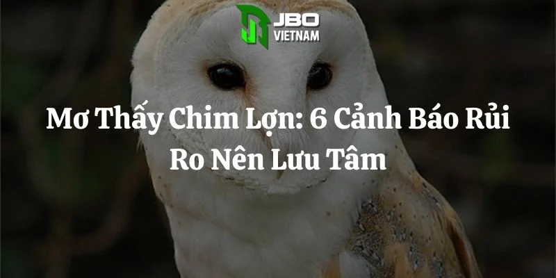 Mơ Thấy Chim Lợn: 6 Cảnh Báo Rủi Ro Nên Lưu Tâm