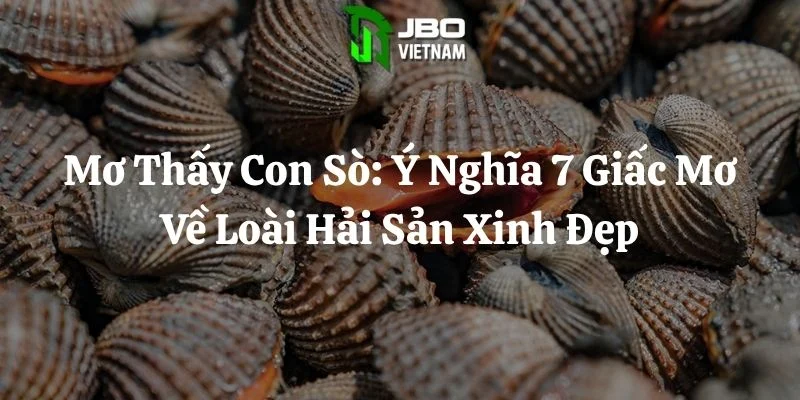 Mơ Thấy Con Sò: Ý Nghĩa 7 Giấc Mơ Về Loài Hải Sản Xinh Đẹp