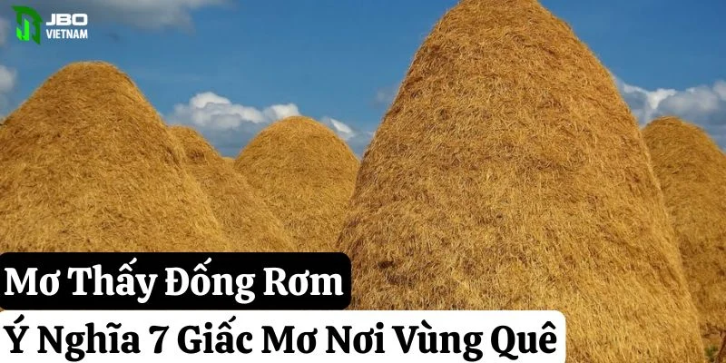 Mơ Thấy Đống Rơm: Ý Nghĩa 7 Giấc Mơ Nơi Vùng Quê