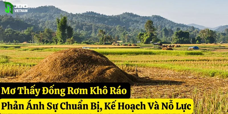 mơ thấy đống rơm