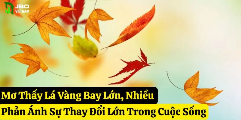 mơ thấy lá vàng bay