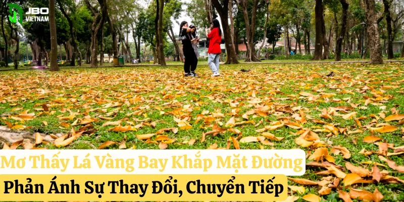 mơ thấy lá vàng bay jbo