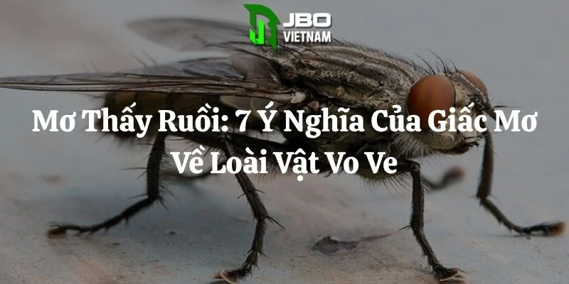 Mơ Thấy Ruồi: 7 Ý Nghĩa Của Giấc Mơ Về Loài Vật Vo Ve