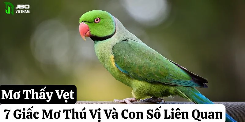 Mơ Thấy Vẹt: 7 Giấc Mơ Thú Vị Và Con Số Liên Quan
