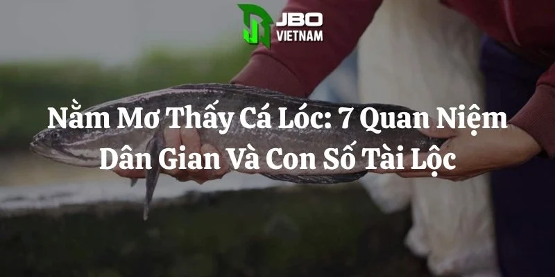 Nằm Mơ Thấy Cá Lóc: 7 Quan Niệm Dân Gian Và Con Số Tài Lộc