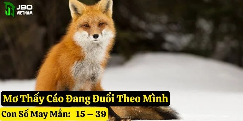 nằm mơ thấy cáo