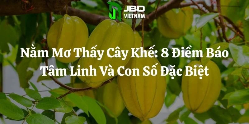 Nằm Mơ Thấy Cây Khế: 8 Điềm Báo Tâm Linh Và Con Số Đặc Biệt