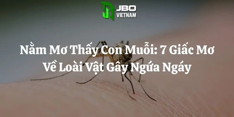 Nằm Mơ Thấy Con Muỗi: 7 Giấc Mơ Về Loài Vật Gây Ngứa Ngáy