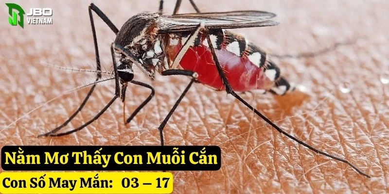 nằm mơ thấy con muỗi jbo