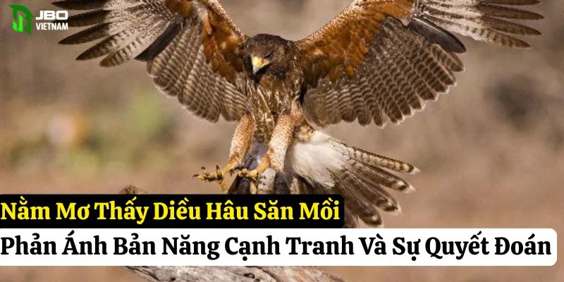 nằm mơ thấy diều hâu