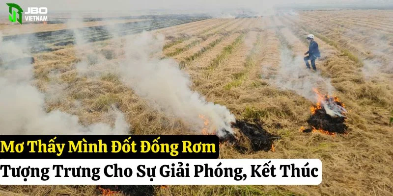 nằm mơ thấy đống rơm