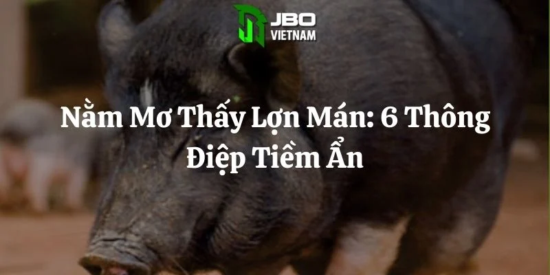 Nằm Mơ Thấy Lợn Mán: 6 Thông Điệp Tiềm Ẩn
