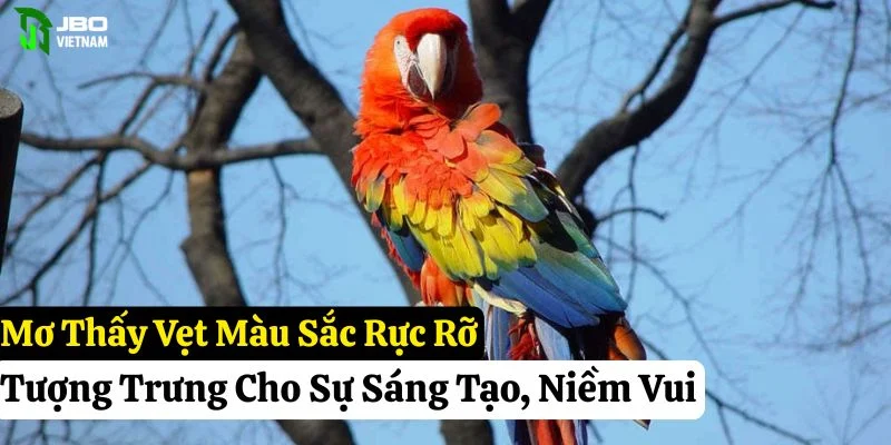 nằm mơ thấy vẹt