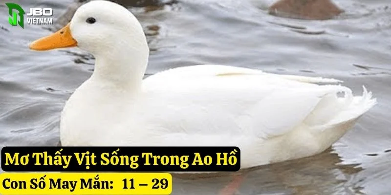 nằm mơ thấy vịt