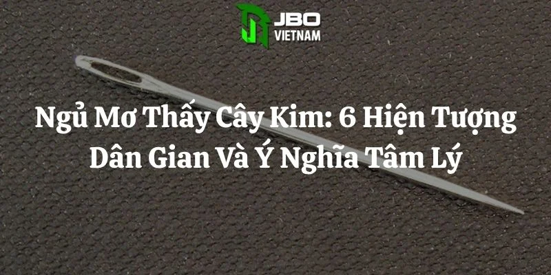 Ngủ Mơ Thấy Cây Kim: 6 Hiện Tượng Dân Gian Và Ý Nghĩa Tâm Lý