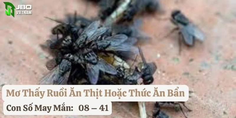 nằm mơ thấy con ruồi