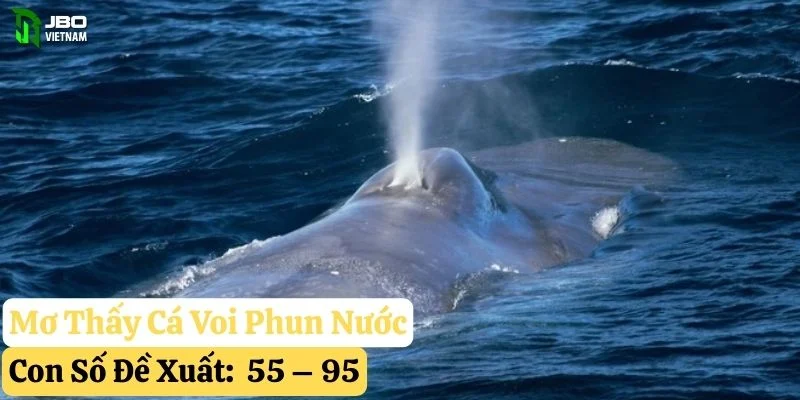 nằm mơ thấy cá voi