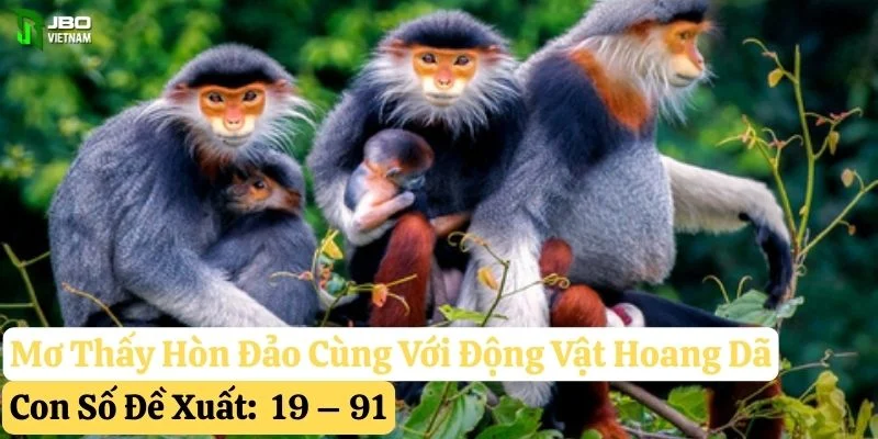 nằm mơ thấy hòn đảo