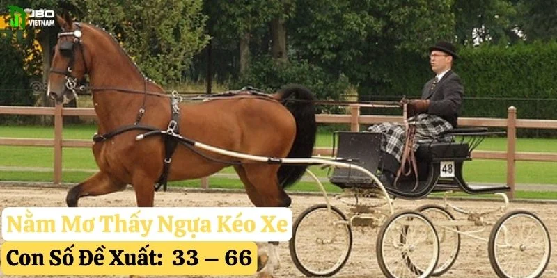 mơ thấy con ngựa