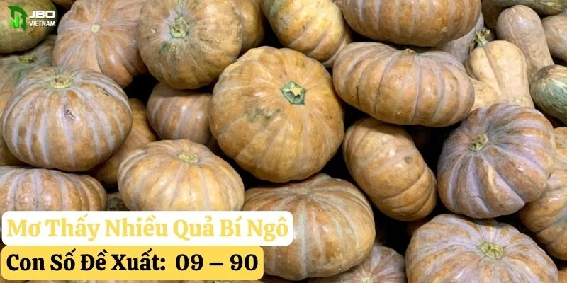 nằm mơ quả bí ngô