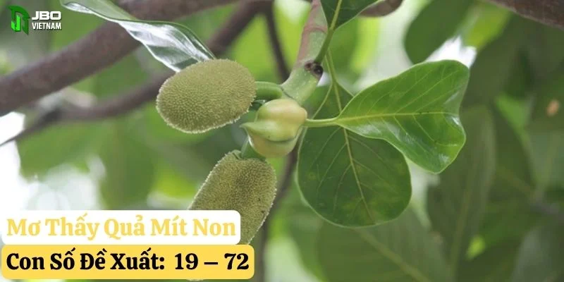 nằm mơ thấy quả mít