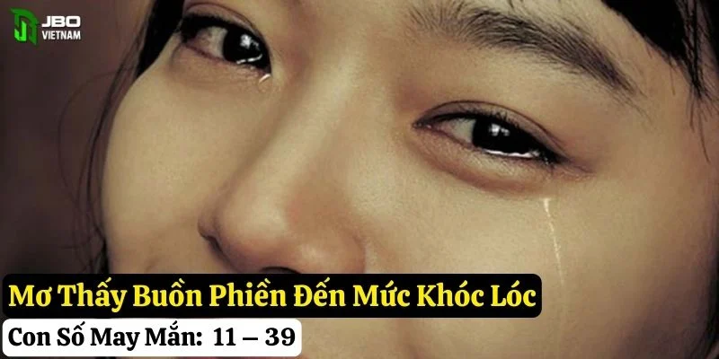 mơ thấy buồn phiền