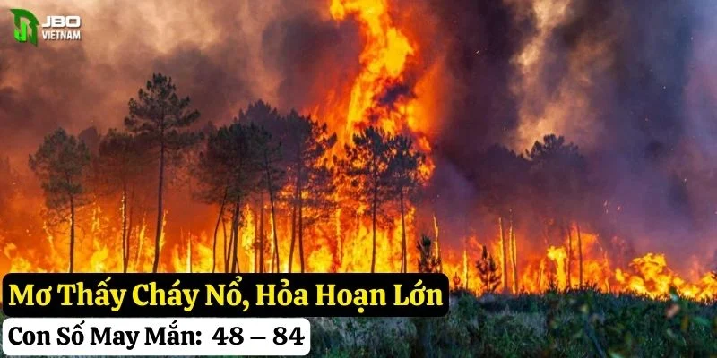 mơ thấy thiên tai thảm họa
