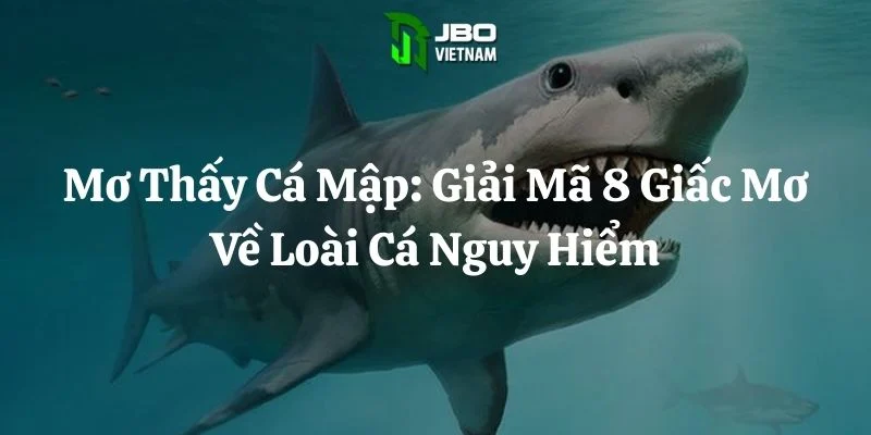 Mơ Thấy Cá Mập: Giải Mã 8 Giấc Mơ Về Loài Cá Nguy Hiểm