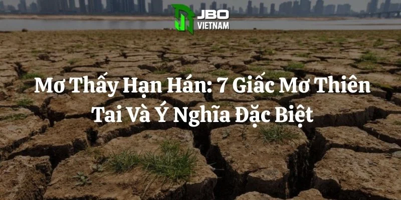 Mơ Thấy Hạn Hán: 7 Giấc Mơ Thiên Tai Và Ý Nghĩa Đặc Biệt