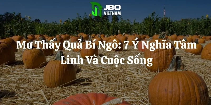 Mơ Thấy Quả Bí Ngô: 7 Ý Nghĩa Tâm Linh Và Cuộc Sống
