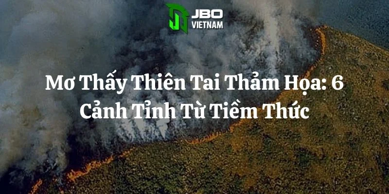 Mơ Thấy Thiên Tai Thảm Họa: 6 Cảnh Tỉnh Từ Tiềm Thức