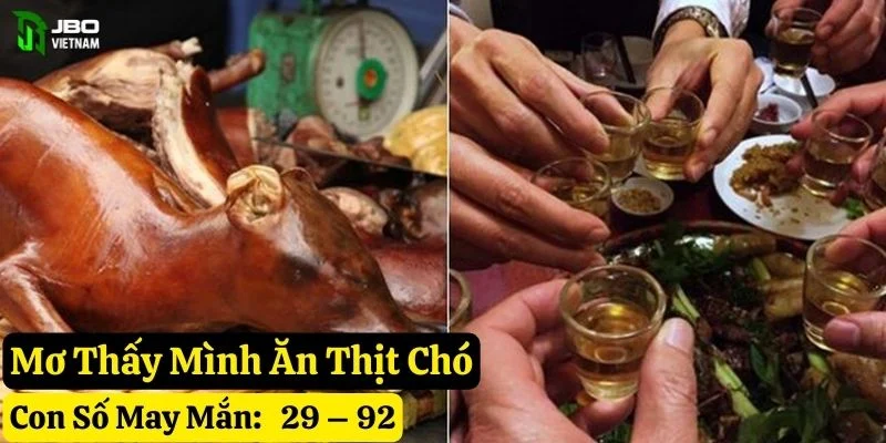 mơ ăn thịt chó jbo