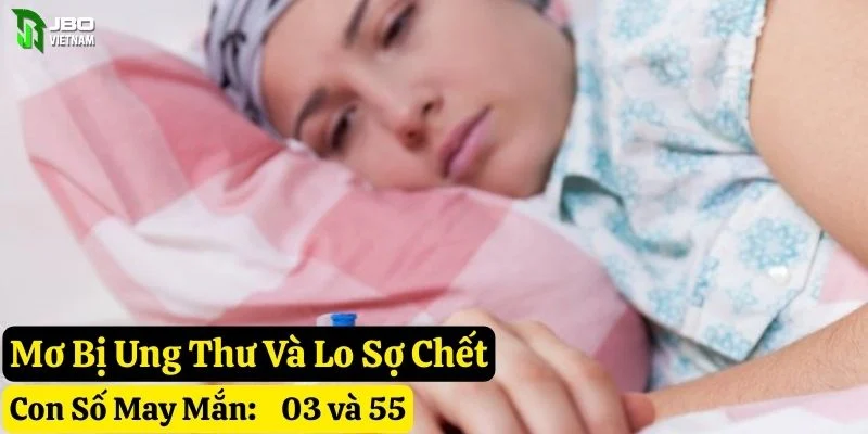 mơ bị ung thư jbo