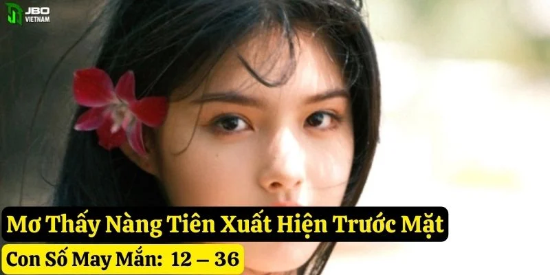 nằm mơ thấy nàng tiên