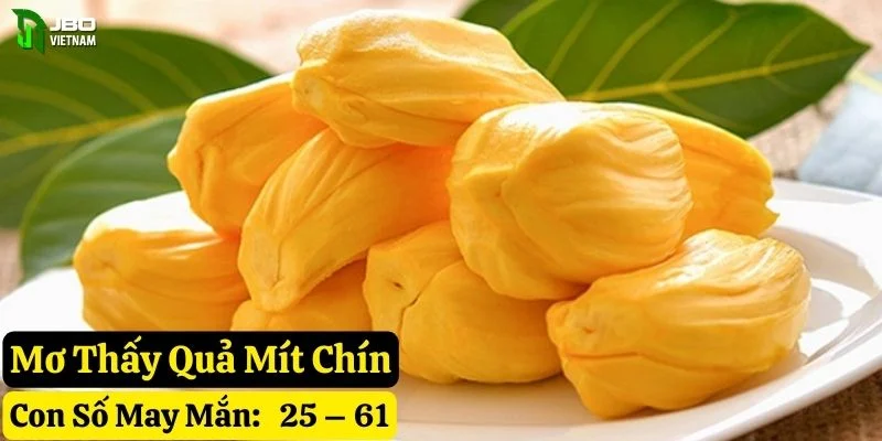 mơ thấy quả mít jbo