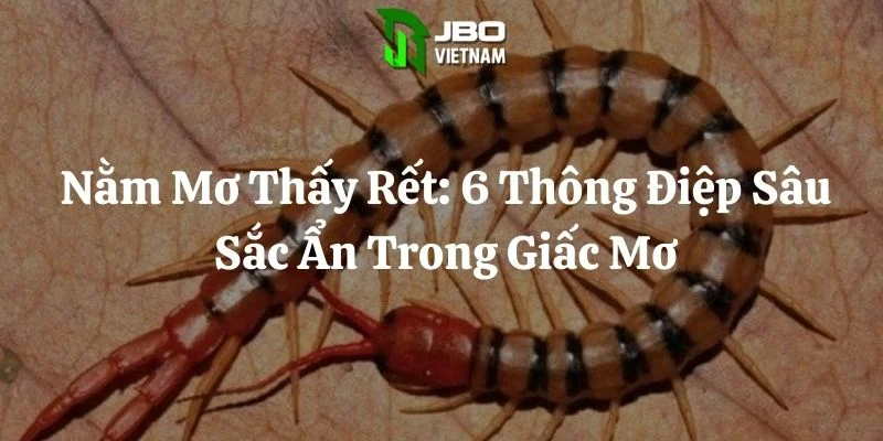 Nằm Mơ Thấy Rết: 6 Thông Điệp Sâu Sắc Ẩn Trong Giấc Mơ